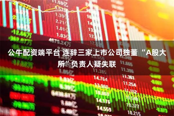 公牛配资端平台 连辞三家上市公司独董 “A股大所”负责人疑失联